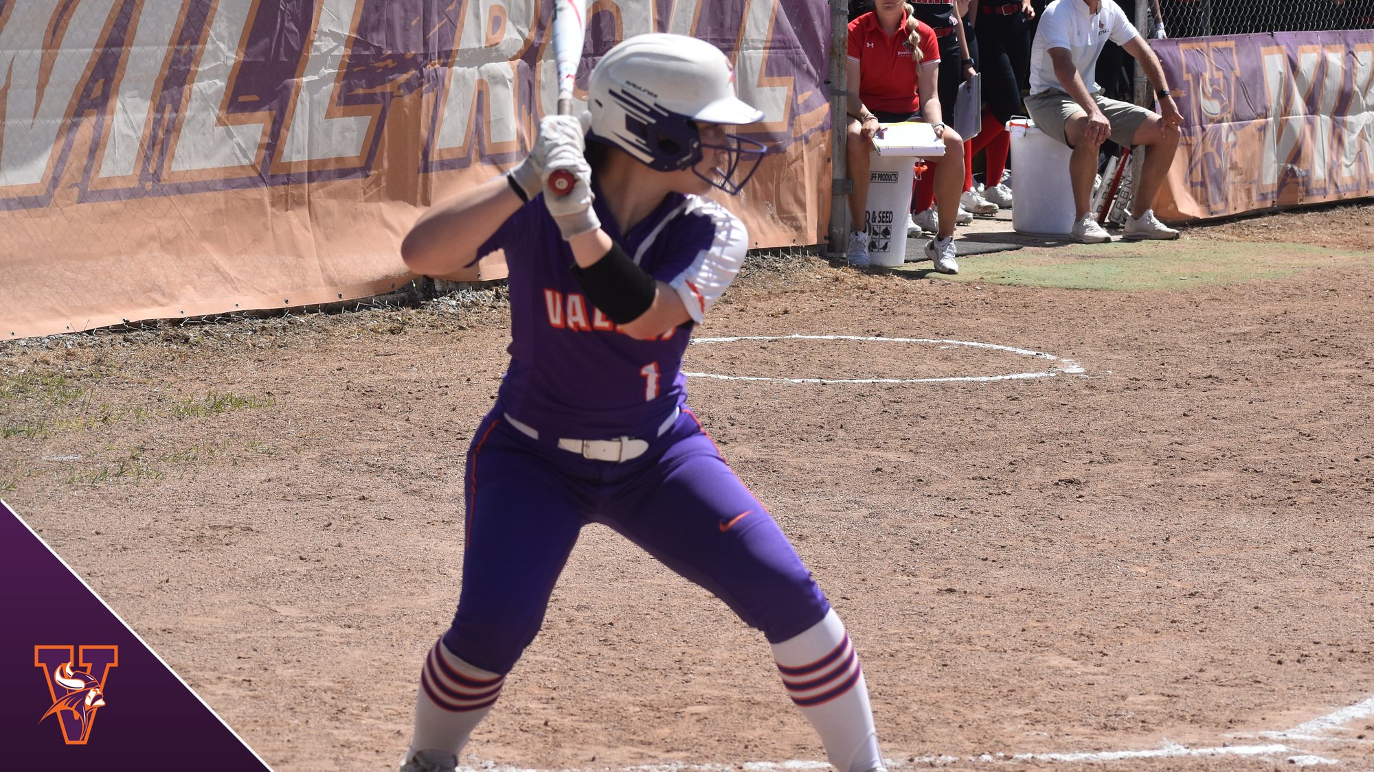 Softball Suffers Pair of Losses at Park